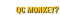 qc-monkey-mentorship_headline.png